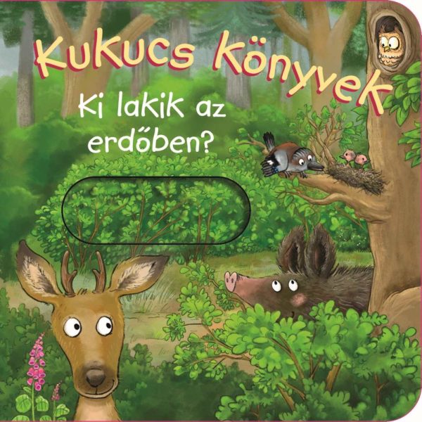KUKUCS KÖNYVEK - KI LAKIK AZ ERDŐBEN?