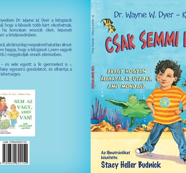 CSAK SEMMI KIFOGÁS!