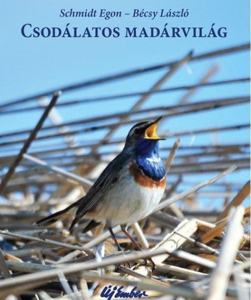 CSODÁLATOS MADÁRVILÁG