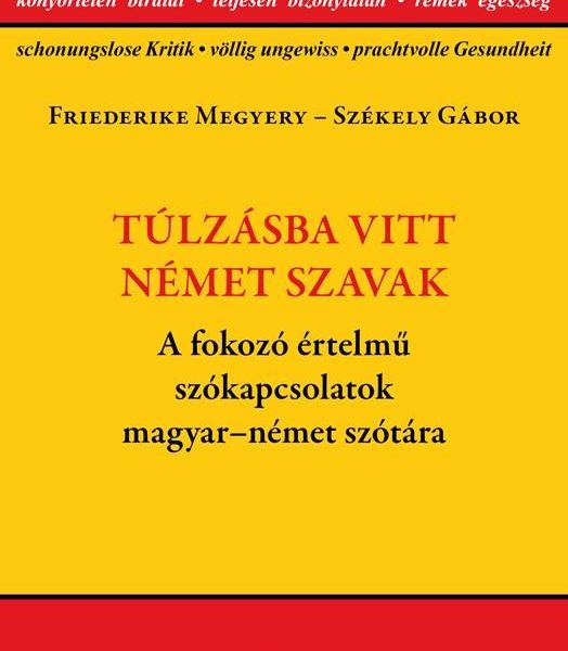 TÚLZÁSBA VITT NÉMET SZAVAK - A FOKOZÓ ÉRTELMŰ SZÓKAPCSOLATOK MAGYAR-NÉMET  SZÓTÁ