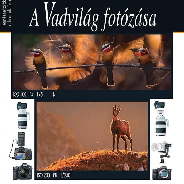 A VADVILÁG FOTÓZÁSA