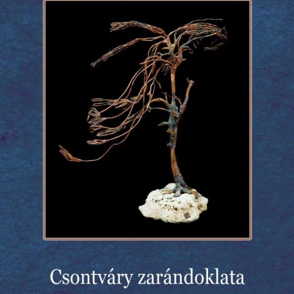 CSONTVÁRY ZARÁNDOKLATA - IL PELLEGRINAGGIO DI CSONTVÁRY
