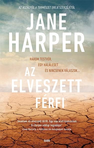 AZ ELVESZETT FÉRFI