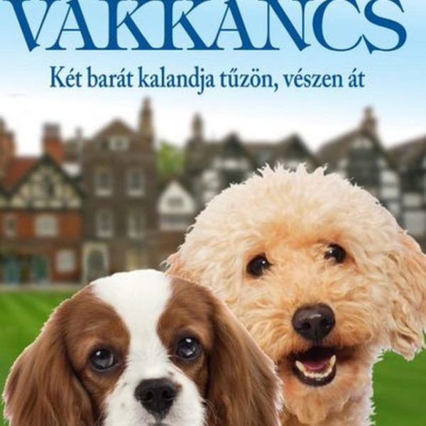 DIXI ÉS VAKKANCS - KÉT BARÁT KALANDJA TŰZÖN, VÉSZEN ÁT