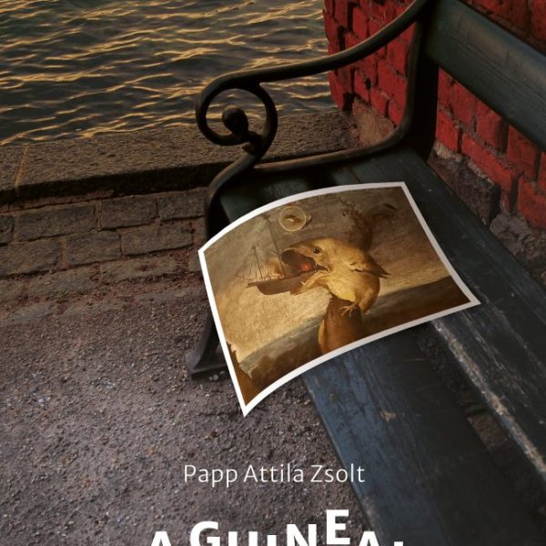 A GUINEAI UTAZÁS