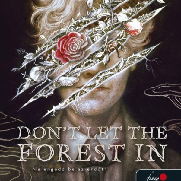 DON'T LET THE FOREST IN - NE ENGEDD BE AZ ERDŐT!