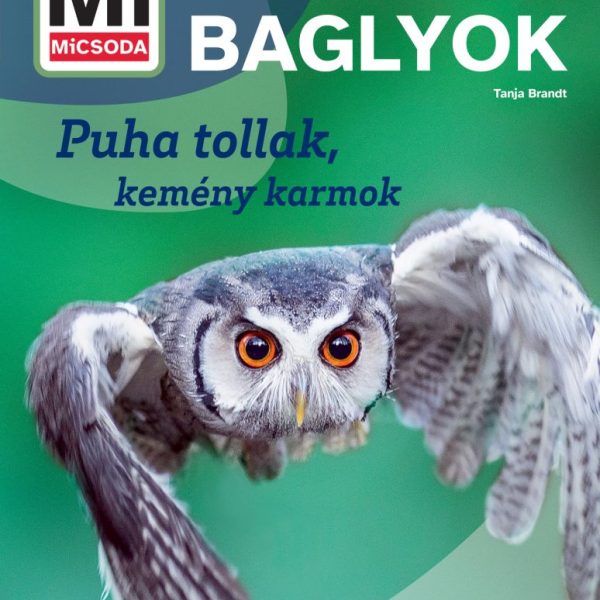 MI MICSODA BAGLYOK - PUHA TOLLAK, KEMÉNY KARMOK