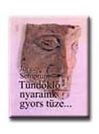 TÜNDÖKLŐ NYARAINK GYORS TÜZE ...