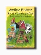 AMIKOR FINDUSZ KICSI VOLT ÉS ELTŰNT -