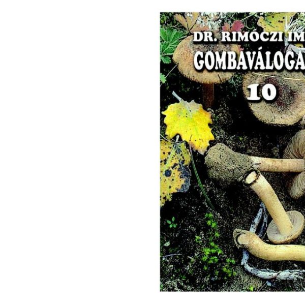 GOMBAVÁLOGATÓ 10.