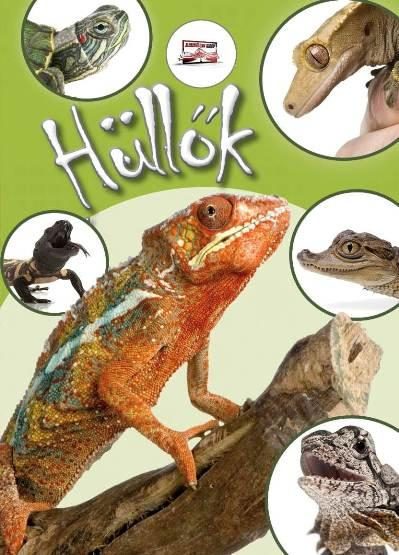 HÜLLŐK