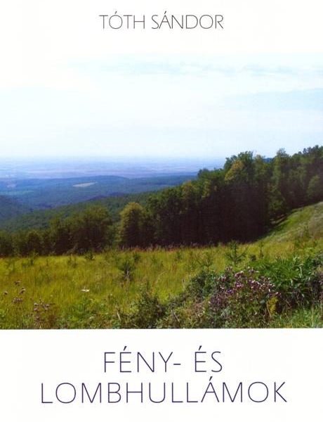 FÉNY- ÉS LOMBHULLÁMOK