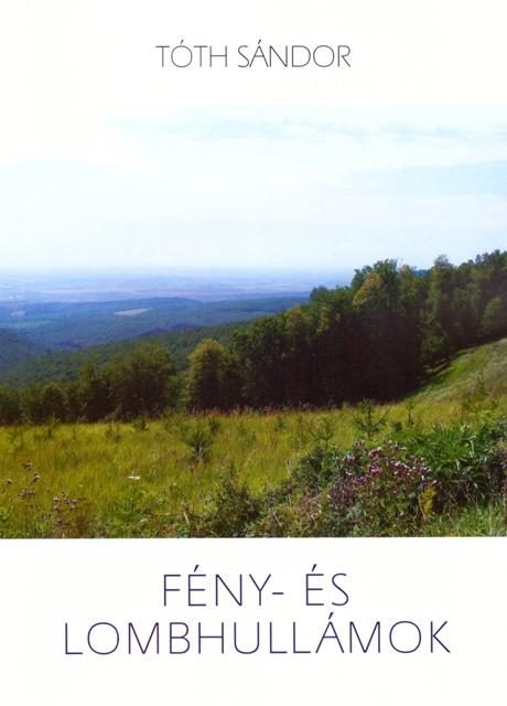 FÉNY- ÉS LOMBHULLÁMOK