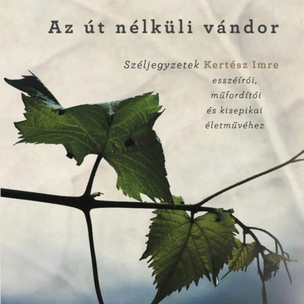 AZ ÚT NÉLKÜLI VÁNDOR