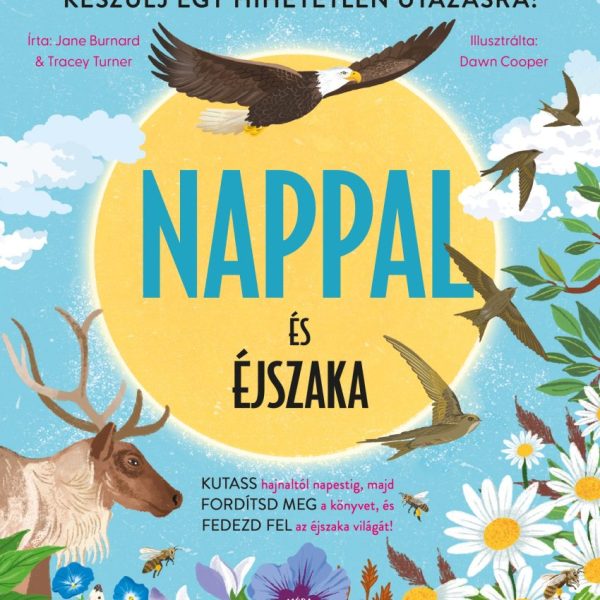 NAPPAL ÉS ÉJSZAKA