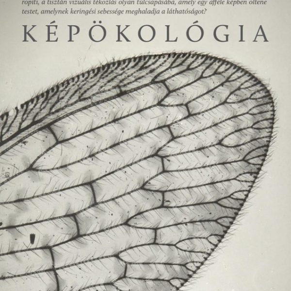 KÉPÖKOLÓGIA