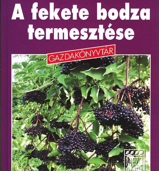 A FEKETE BODZA TERMESZTÉSE - GAZDAKÖNYVTÁR