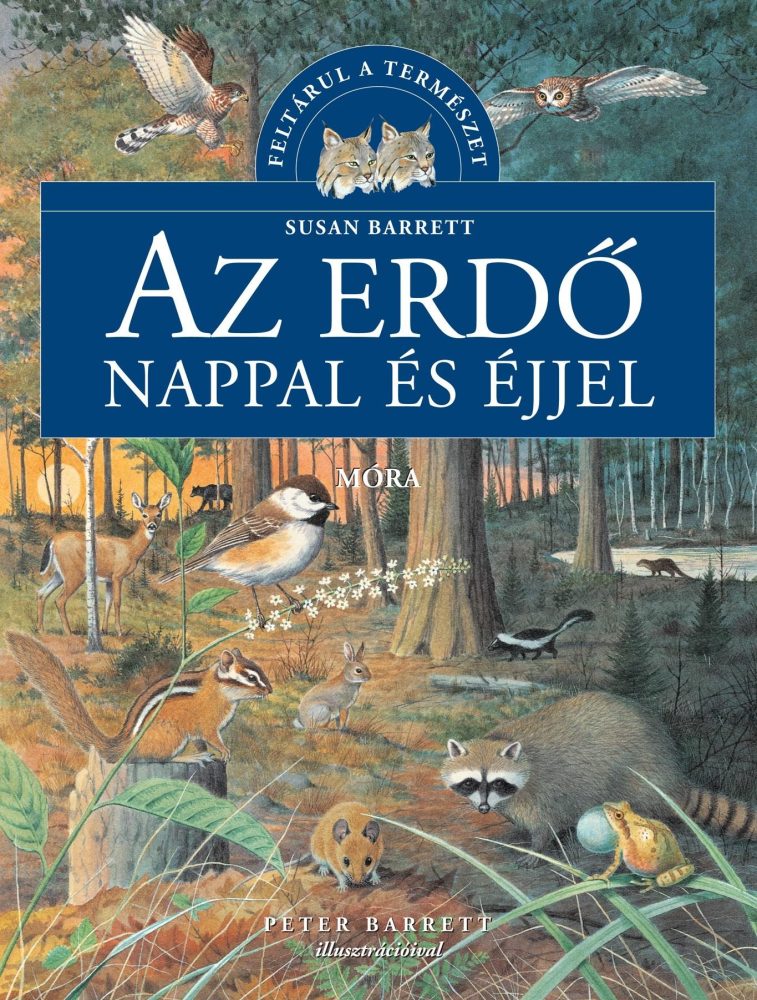 AZ ERDŐ NAPPAL ÉS ÉJJEL - FELTÁRUL A TERMÉSZET