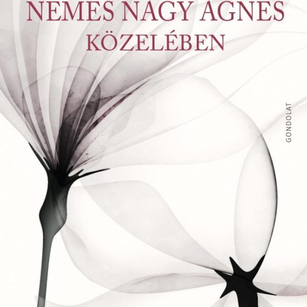 NEMES NAGY ÁGNES KÖZELÉBEN