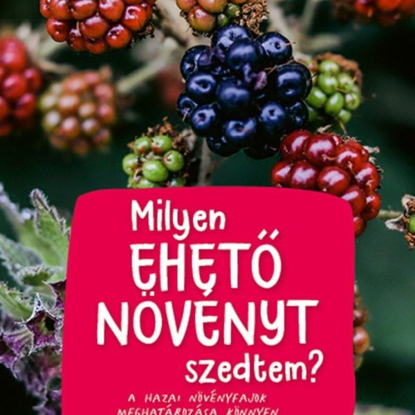 MILYEN EHETŐ NÖVÉNYT SZEDTEM? - TERMÉSZETKALAÚZ GYEREKEKNEK