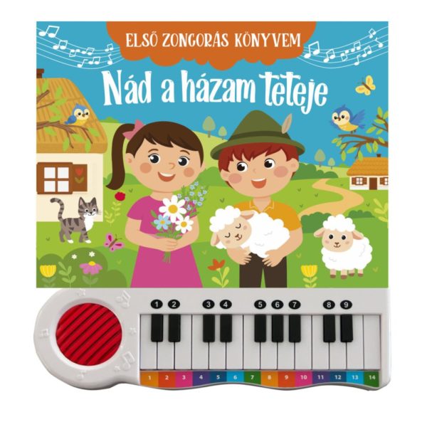 ELSŐ ZONGORÁS KÖNYVEM - NÁD A HÁZAM TETEJE