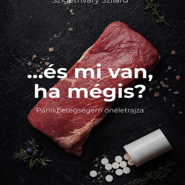 ...ÉS MI VAN HA MÉGIS? - PÁNIKBETEGSÉGEM ÖNÉLETRAJZA