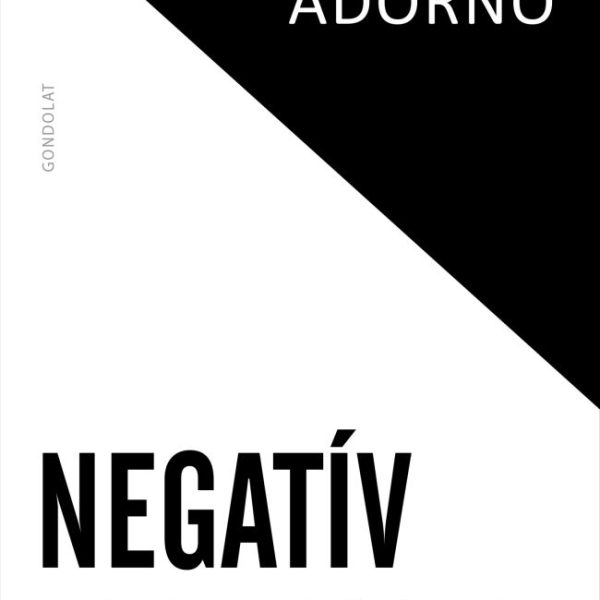 NEGATÍV DIALEKTIKA