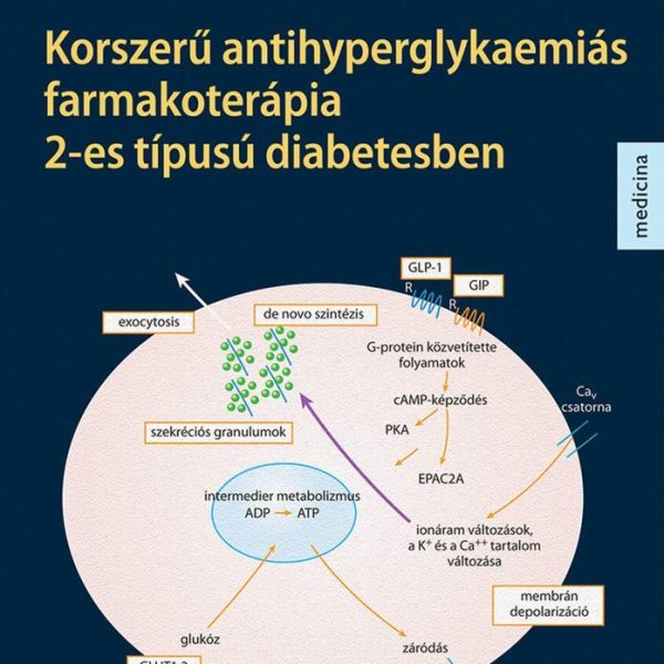 KORSZERŰ ANTIHYPERGLYKAEMIÁS FARMAKOTERÁPIA 2-ES TÍPUSÚ DIABETESBEN