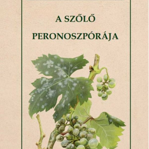 A SZŐLŐ PERONOSZPÓRÁJA