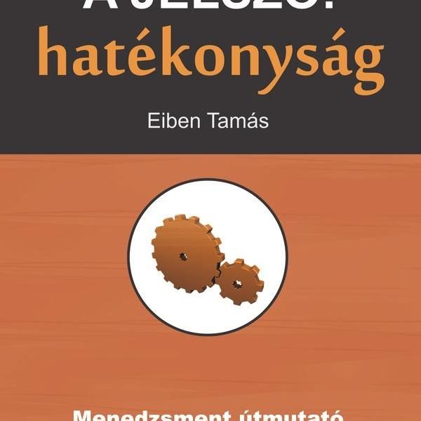 A JELSZÓ: HATÉKONYSÁG - MENEDZSMENT ÚTMUTATÓ AZ EREDMÉNYES ÜZLETHEZ