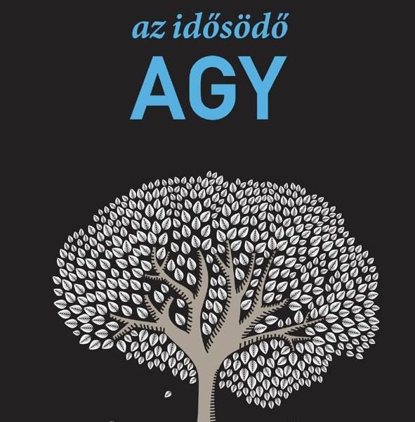 AZ IDŐSÖDŐ AGY -