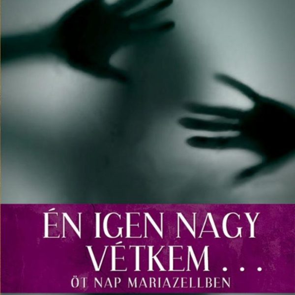 ÉN IGEN NAGY VÉTKEM...