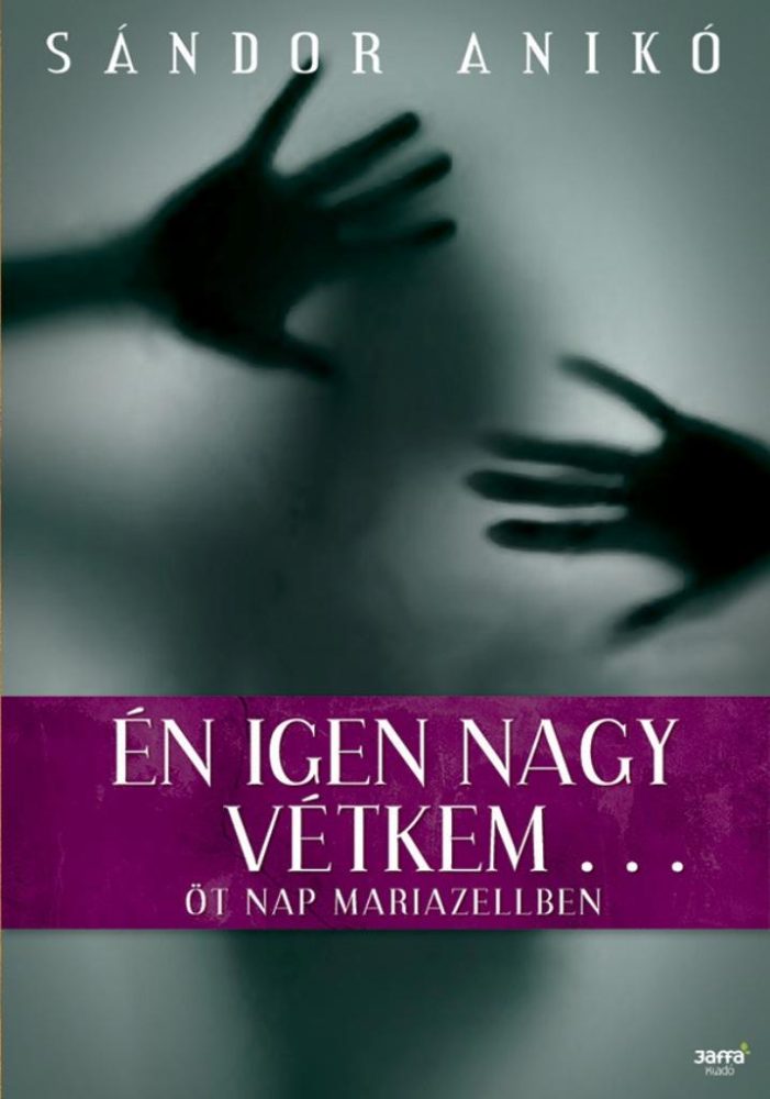 ÉN IGEN NAGY VÉTKEM...