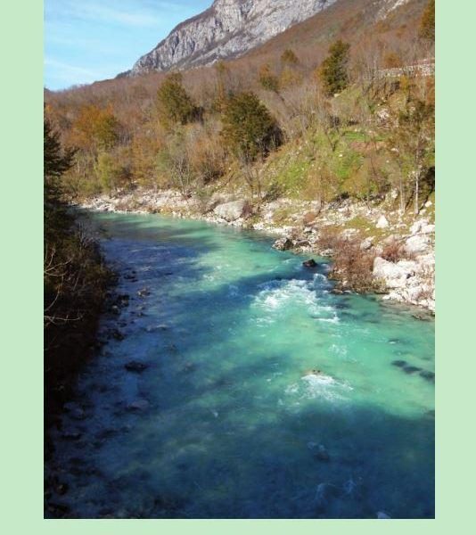 ÁSVÁNYVIZEK, GYÓGYVIZEK