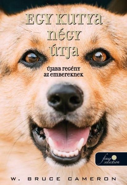 EGY KUTYA NÉGY ÚTJA - FŰZÖTT