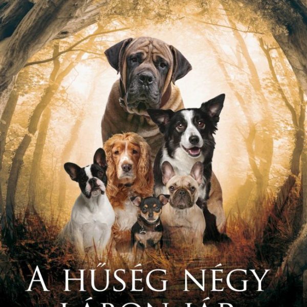 A HŰSÉG NÉGY LÁBON JÁR - KUTYANOVELLÁK