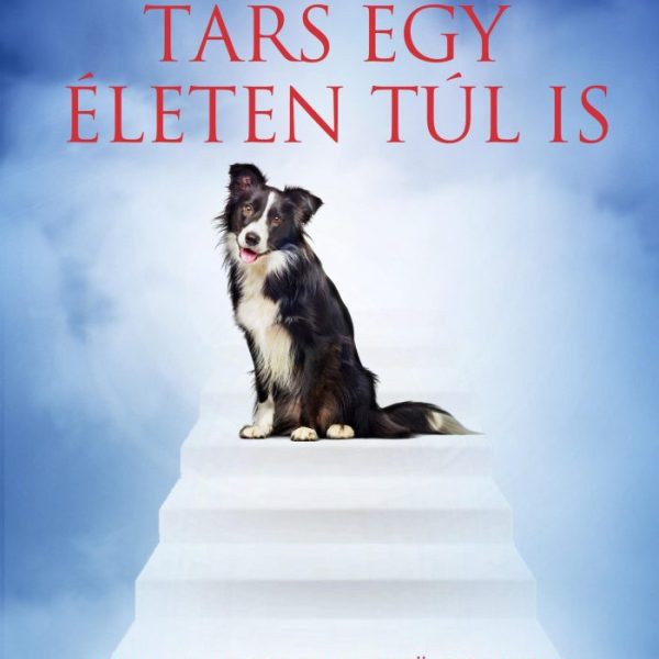 TÁRS EGY ÉLETEN TÚL IS - KIS KEDVENCEK ÜZENETEI A TÚLVILÁGBÓL