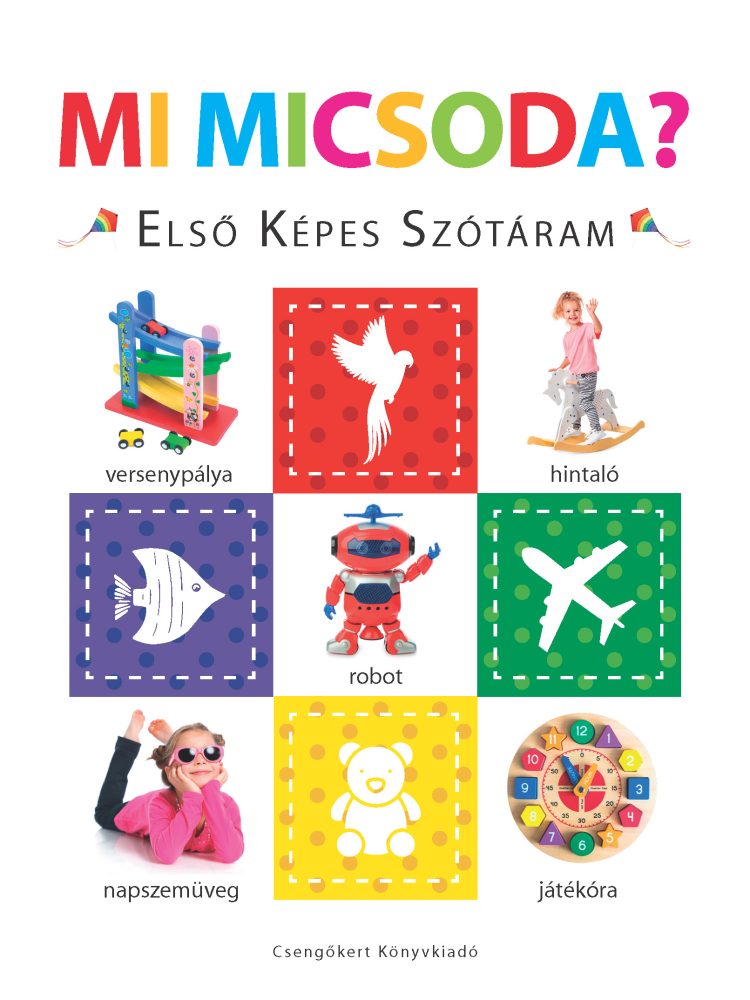 MI MICSODA? ELSŐ KÉPES SZÓTÁRAM SZIVACSKÖNYV
