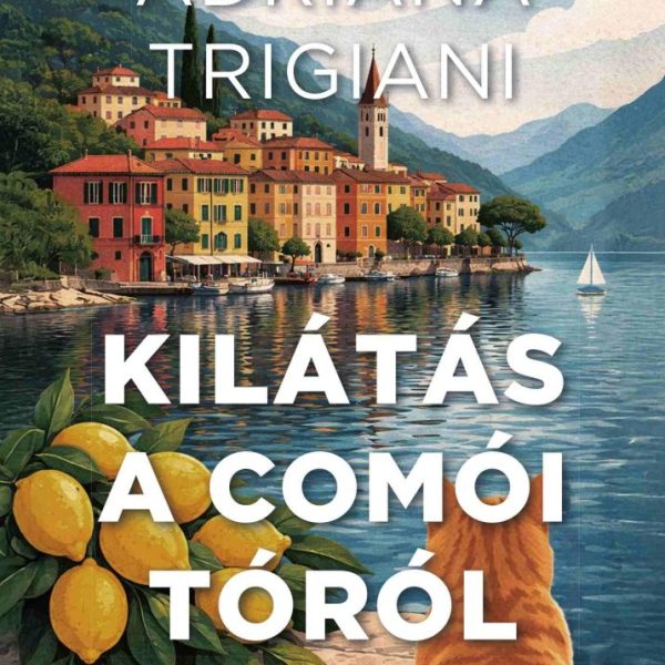 KILÁTÁS A COMÓI-TÓRÓL