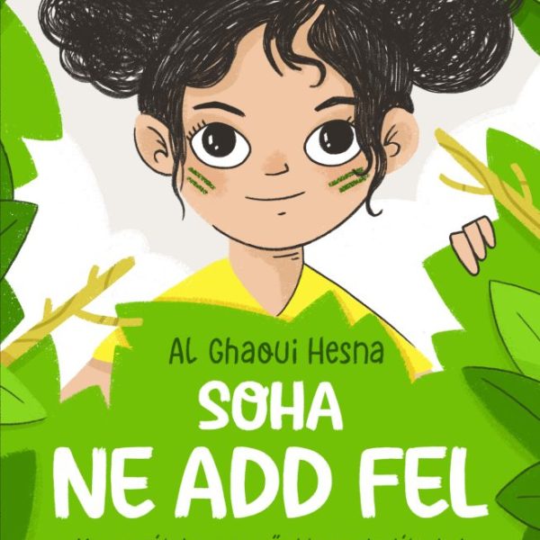 SOHA NE ADD FEL - MESE ARRÓL, HOGYAN GYŐZD LE AZ AKADÁLYOKAT
