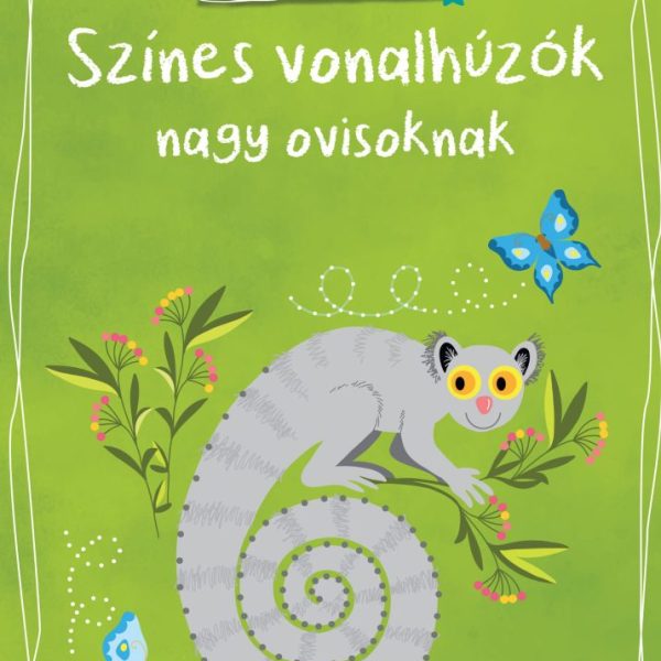 SZÍNES VONALHÚZÓK NAGY OVISOKNAK ( OVI-SULI)