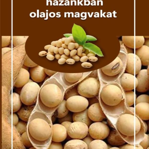 TERMELJÜNK HAZÁNKBAN OLAJOS MAGVAKAT