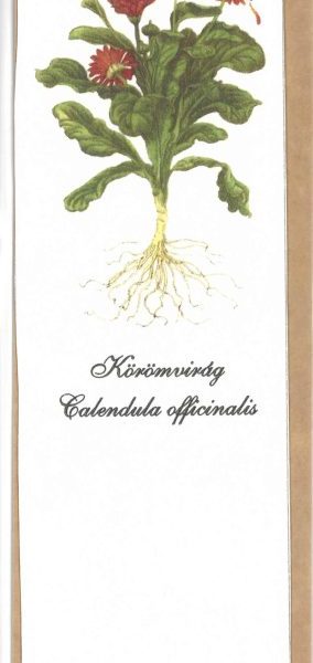 KÖNYVJELZŐ - KÖRÖMVIRÁG
