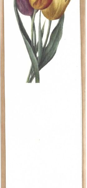KÖNYVJELZŐ - TULIPÁNCSOKOR
