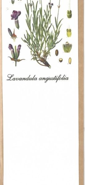 KÖNYVJELZŐ - LEVENDULA