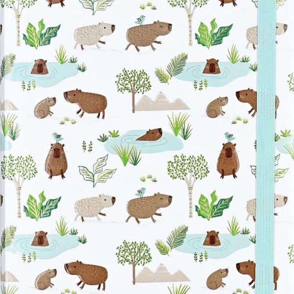 PETER PAUPER NOTESZ MIDI CAPYBARA LIFE VONALAS