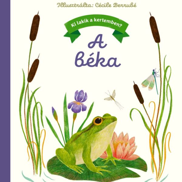 A BÉKA - KI LAKIK A KERTEMBEN?