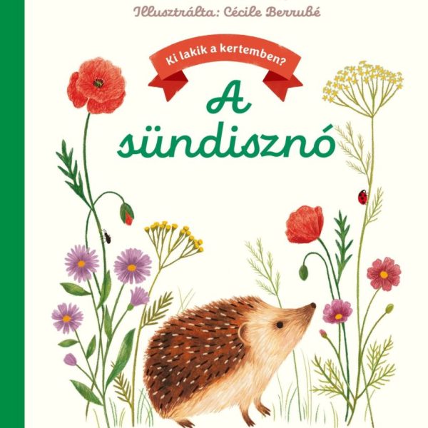A SÜNDISZNÓ - KI LAKIK A KERTEMBEN?