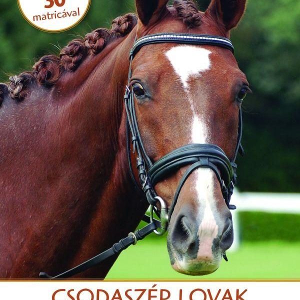 CSODASZÉP LOVAK - POSZTERKÖNYV MATRICÁKKAL