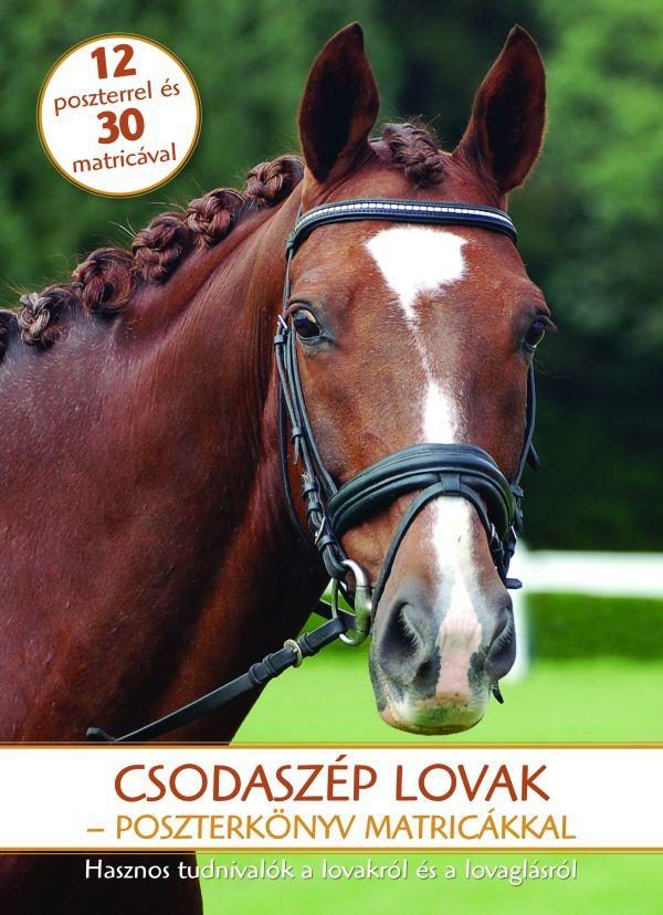 CSODASZÉP LOVAK - POSZTERKÖNYV MATRICÁKKAL